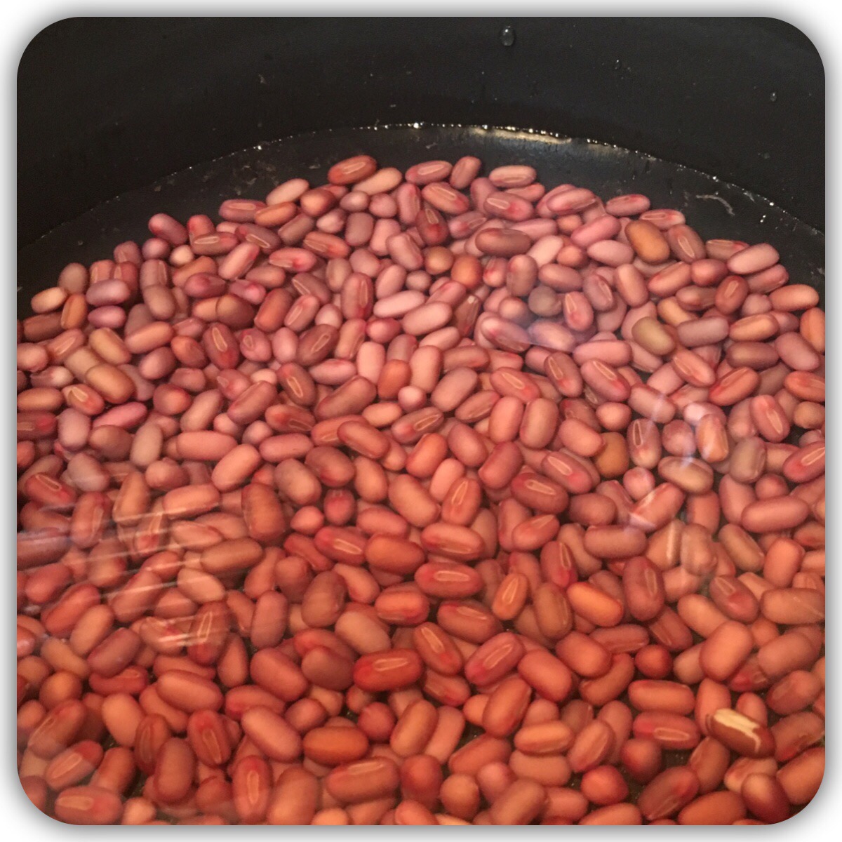 浸け豆した小豆を鍋に600ml水を入れ
