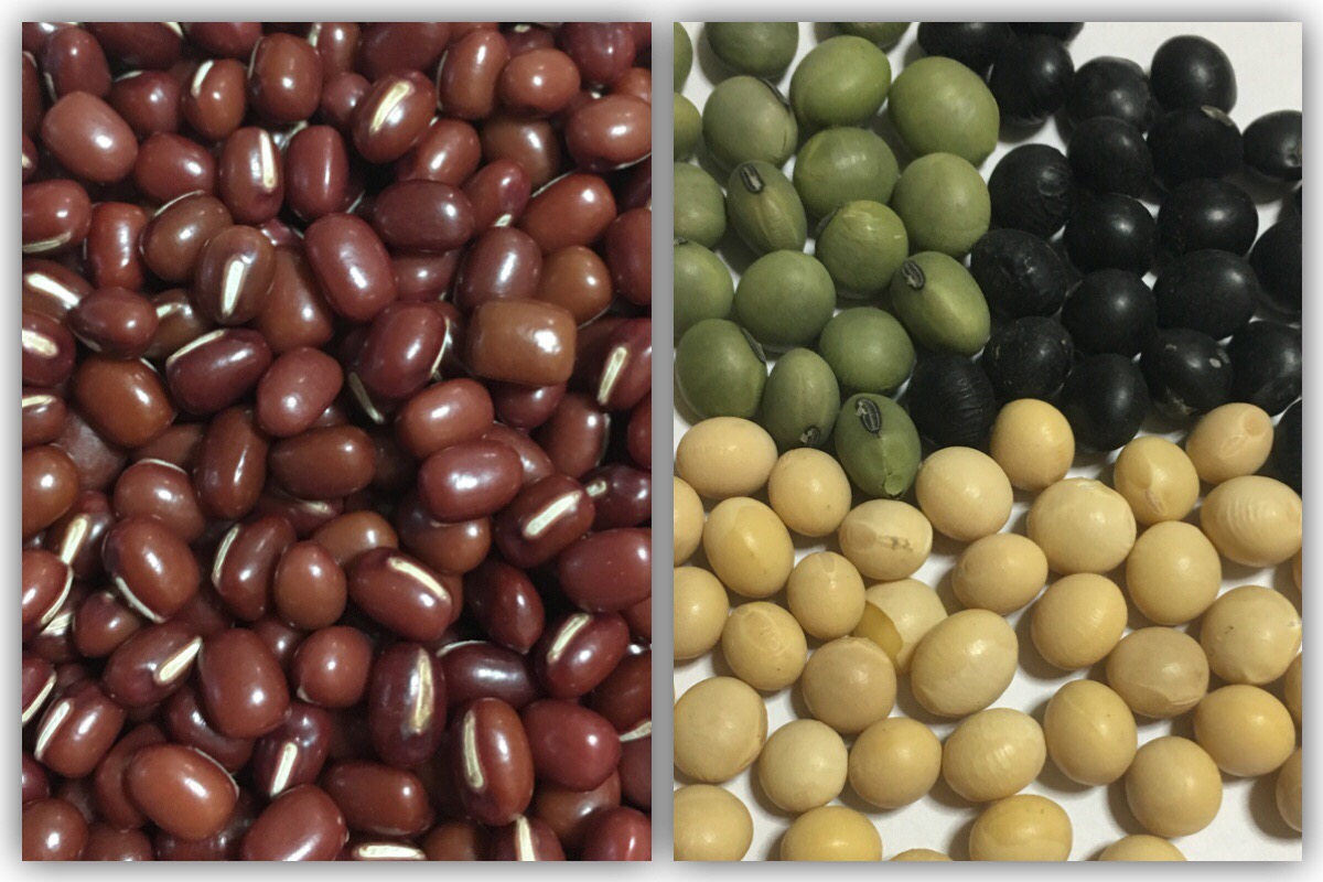 違い 枝豆 大豆 えだまめと大豆は同じものですか。：農林水産省