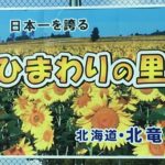 【夏季限定】日本一のひまわりの里/北海道北竜町の楽しみ方