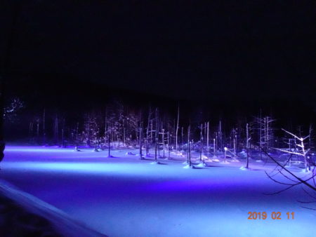青い池をライトアップ